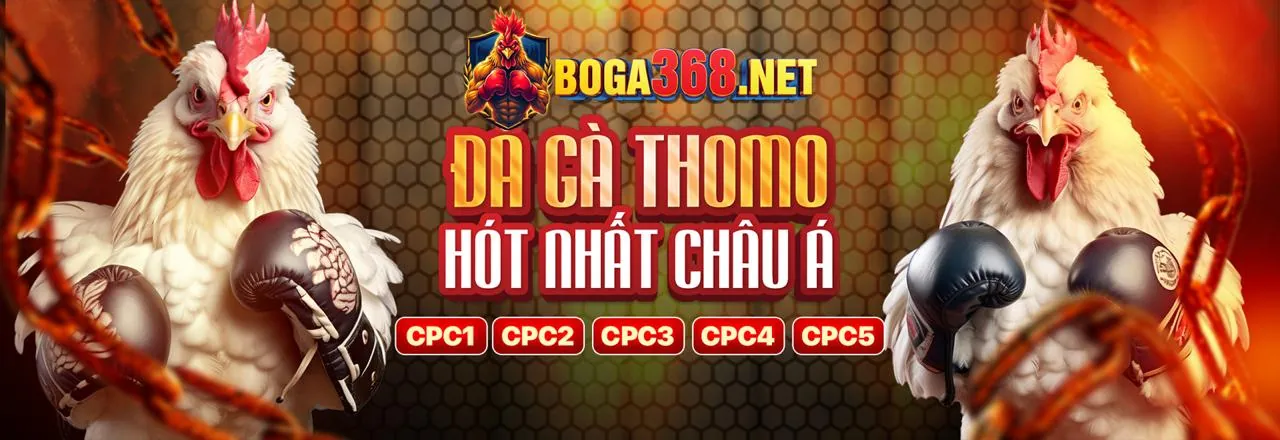 Đá Gà Trực Tuyến ok365m Liên Kết Mới