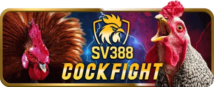 Cá cược E-sports tại ok365m